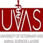University of Veterinary and Animal Sciences
